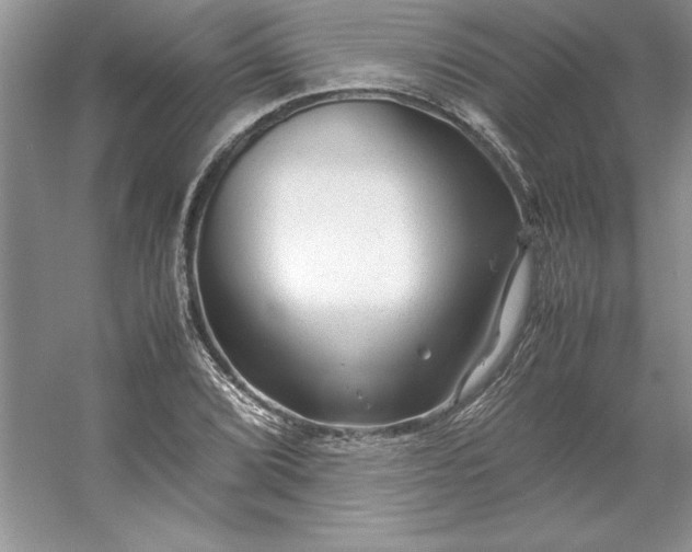 X0000053111072200507251651
