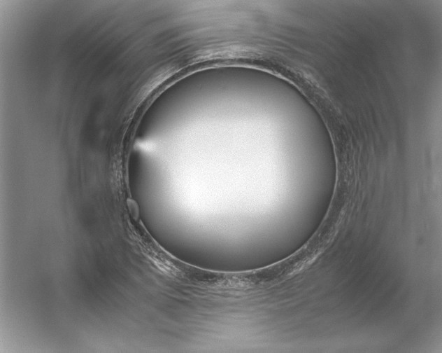 X0000053111073200507251651