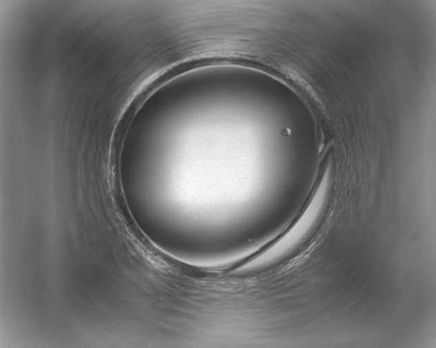 X0000053111077200507251651
