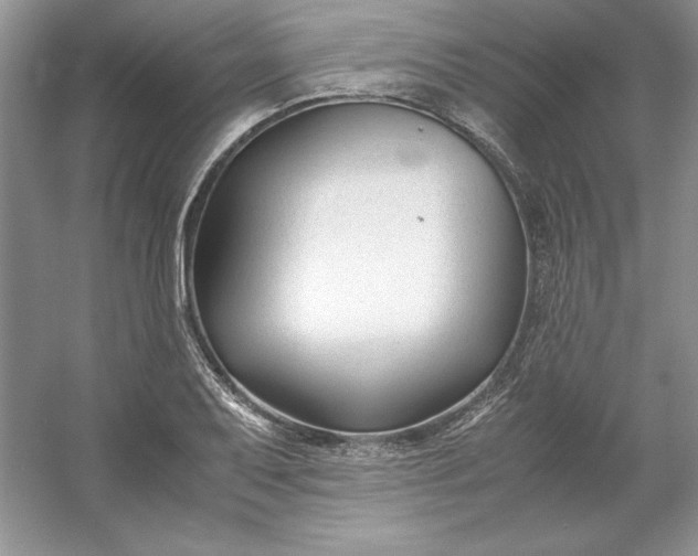 X0000053111079200507251651