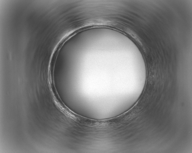X0000053111080200507251651