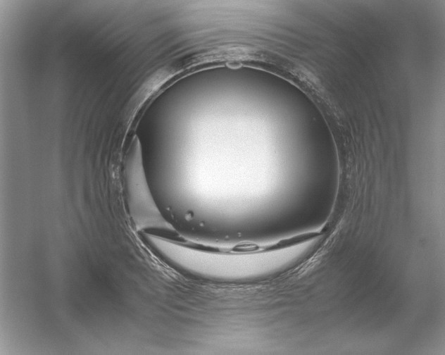 X0000053111081200507251651