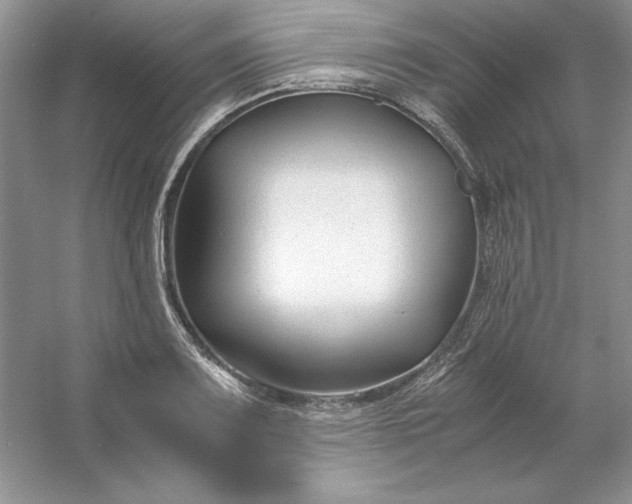 X0000053111083200507251651
