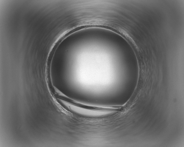 X0000053111085200507251651