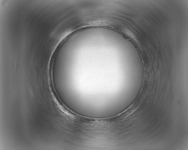 X0000053111087200507251651