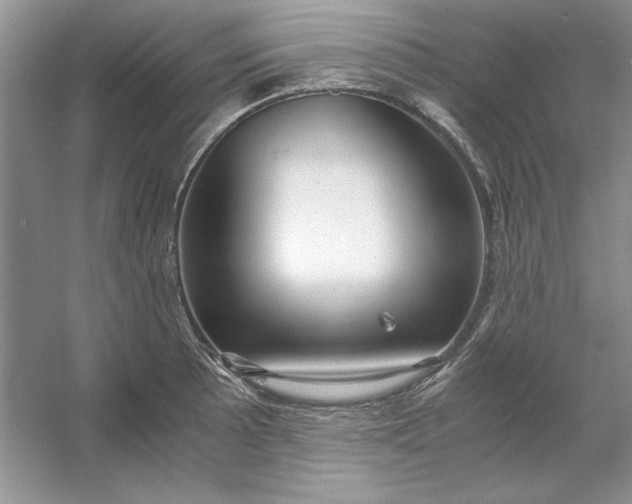 X0000053111089200507251650
