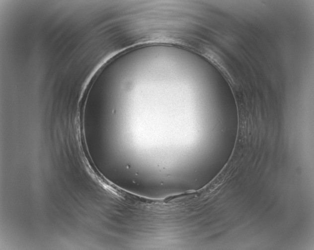 X0000053111092200507251650