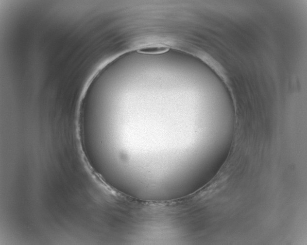 X0000053111104200507251650