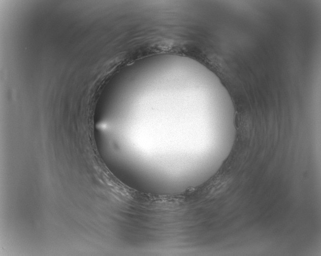 X0000053111105200507251649