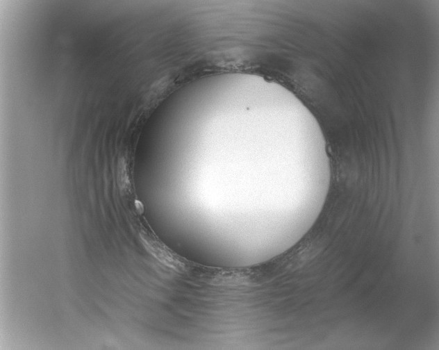 X0000053111106200507251649