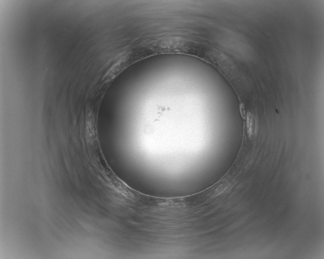 X0000053111107200507251649