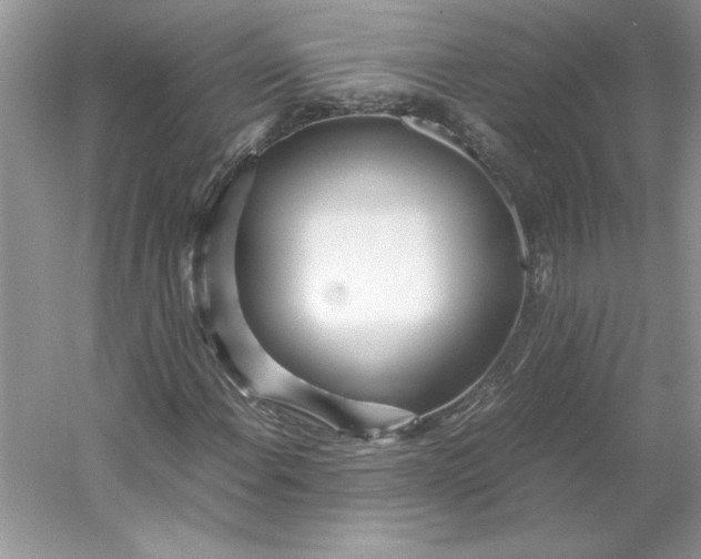 X0000053111108200507251649