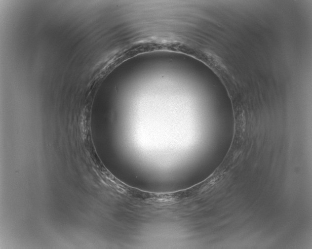 X0000053111110200507251650