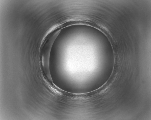 X0000053111114200507251650