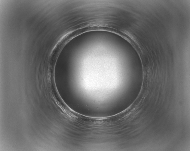 X0000053111115200507251650