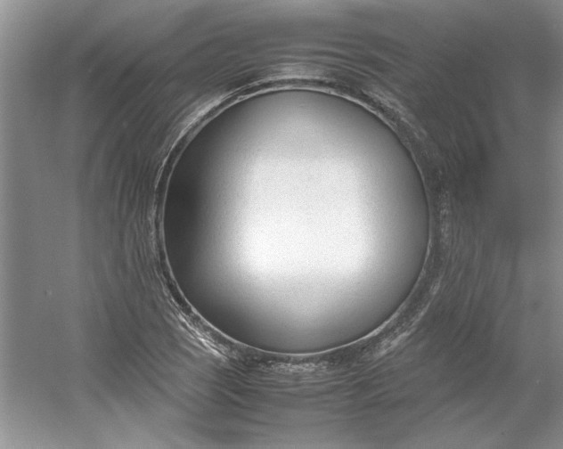 X0000053111121200507251650