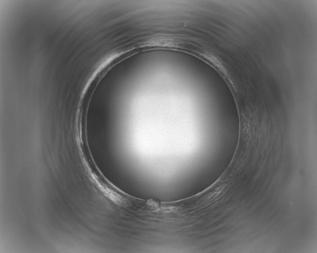 X0000053111131200507251650