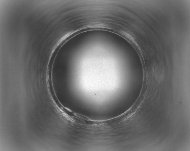 X0000053111133200507251650