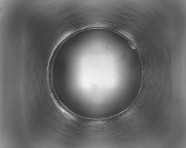 X0000053111135200507251650