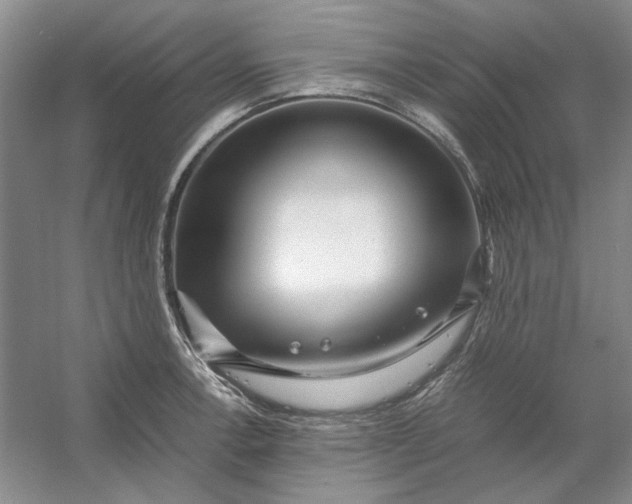 X0000053111138200507251650