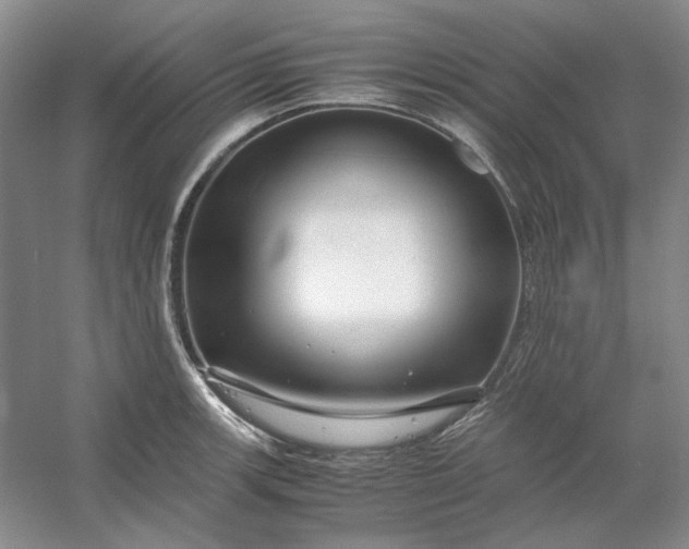 X0000053111139200507251650