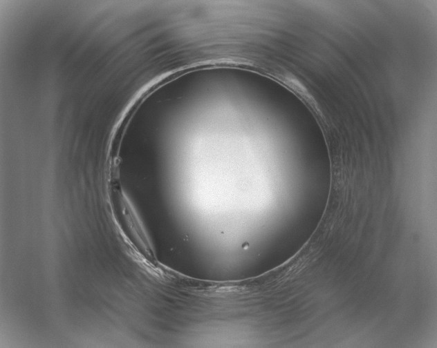 X0000053111140200507251650