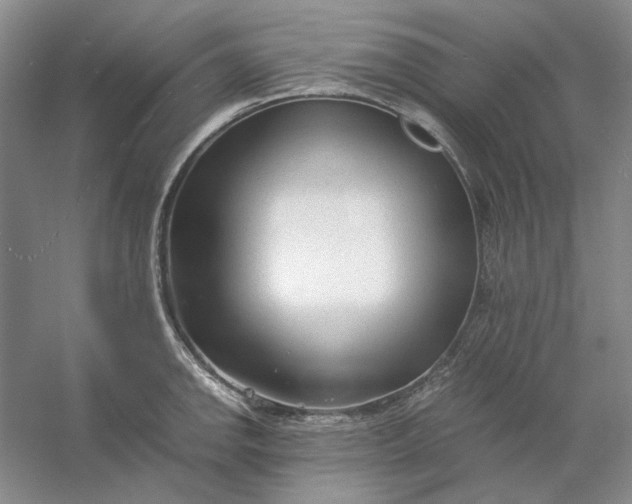 X0000053111142200507251650