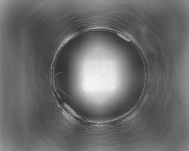 X0000053111145200507251650