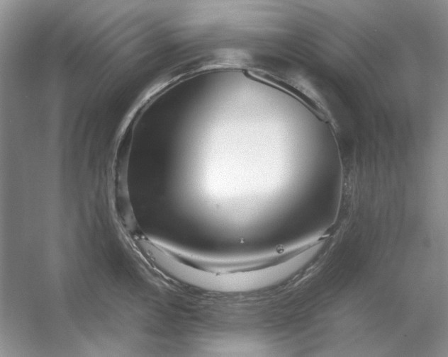 X0000053111146200507251650