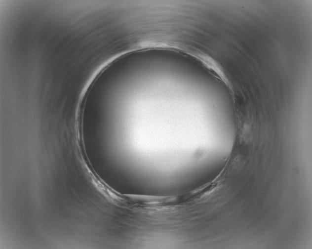 X0000053111148200507251650