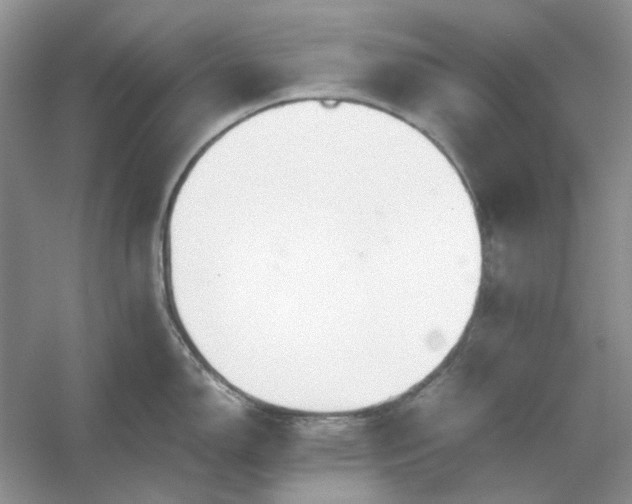 X0000053111150200507251650