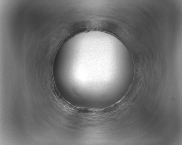 X0000053111153200507251649