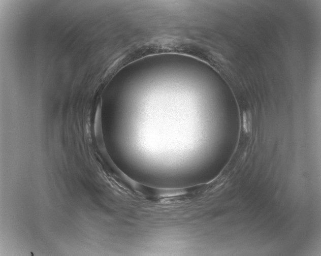 X0000053111155200507251649