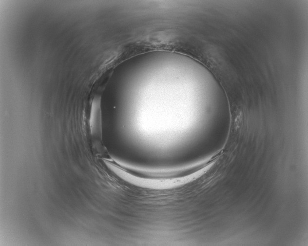 X0000053111156200507251649