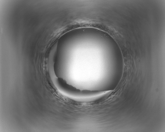 X0000053111157200507251649