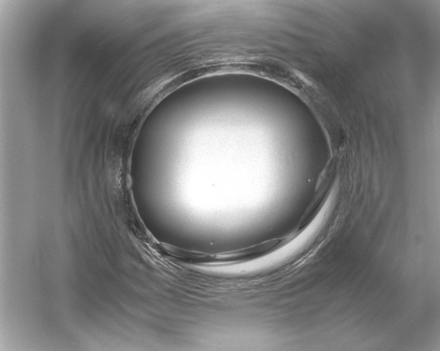 X0000053111161200507251649