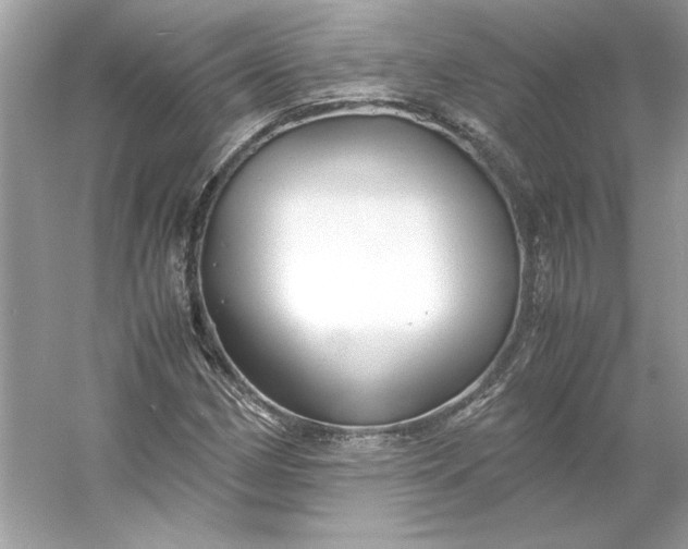 X0000053111162200507251649