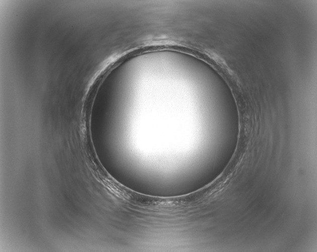 X0000053111167200507251649