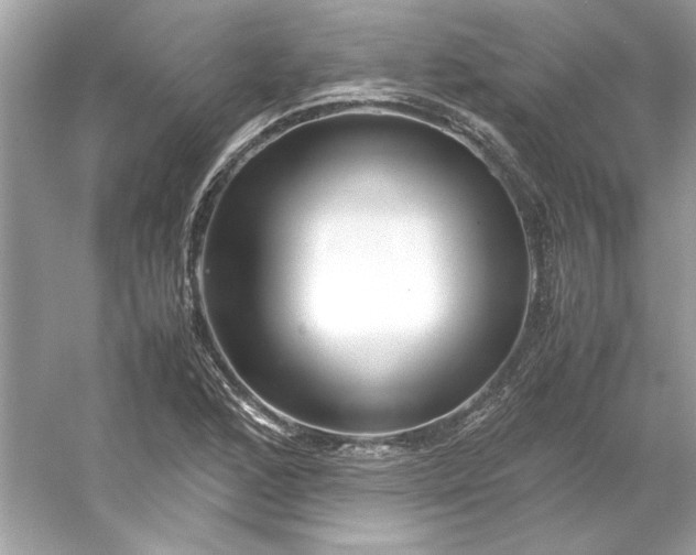 X0000053111168200507251649