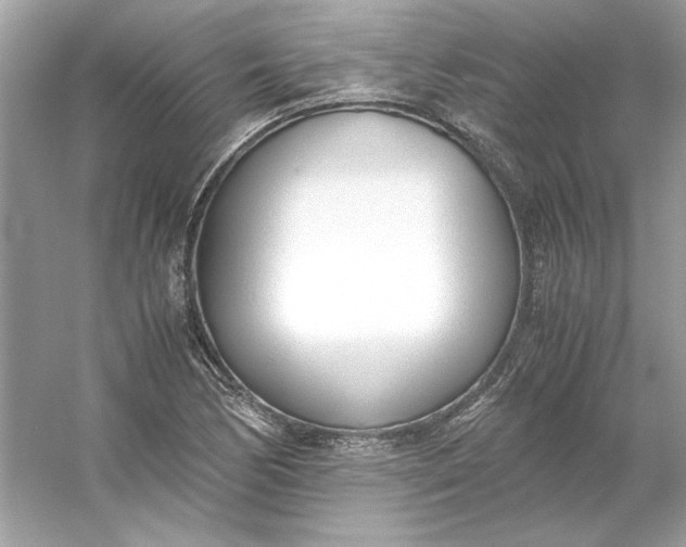 X0000053111170200507251649