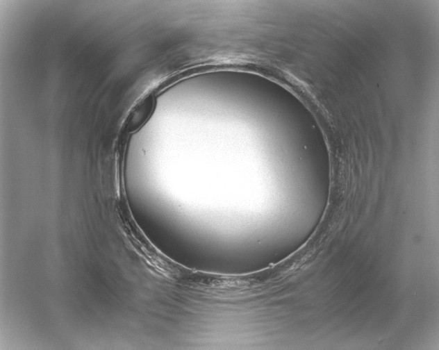 X0000053111171200507251649