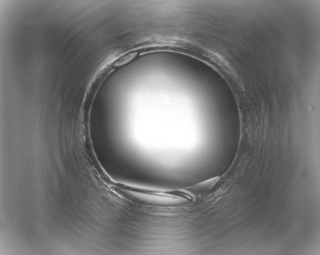 X0000053111172200507251649