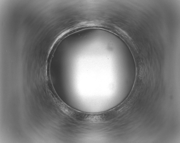 X0000053111174200507251649