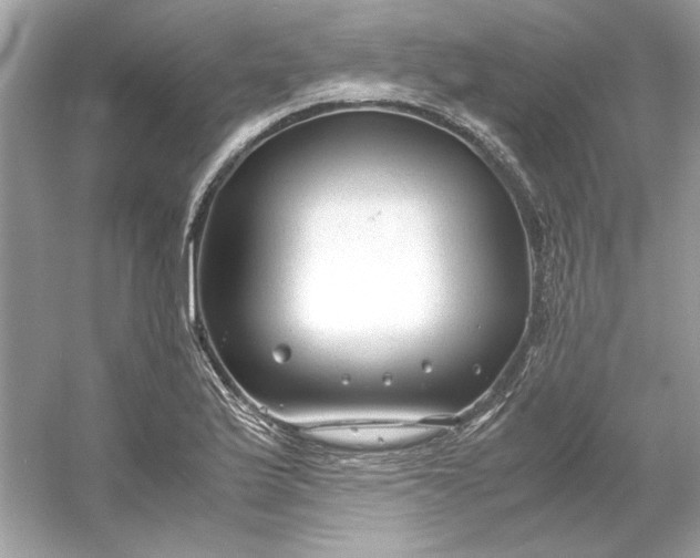 X0000053111175200507251649