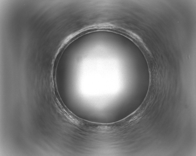 X0000053111176200507251649