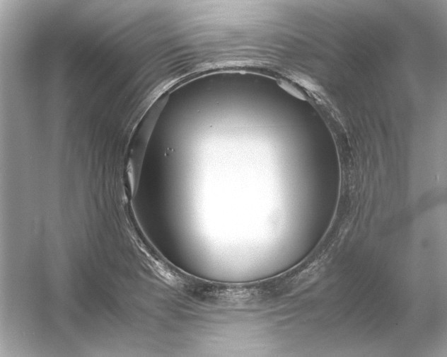X0000053111177200507251649