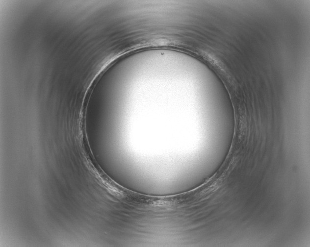 X0000053111178200507251649