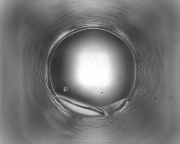 X0000053111179200507251649
