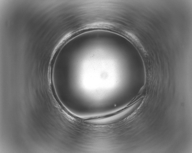 X0000053111180200507251649