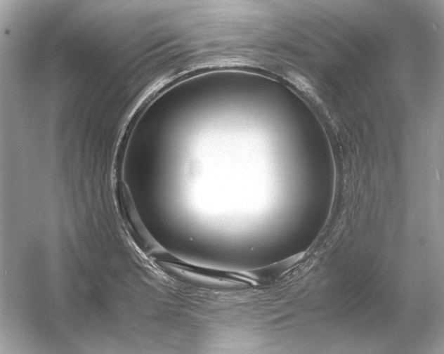 X0000053111181200507251649